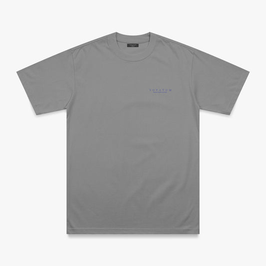 T SHIRT REFULAR FIT ROYATUM GENESIS GRIS/AZUL